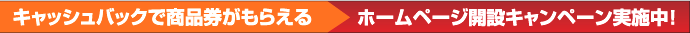 商品券でキャッシュバックキャンペーン