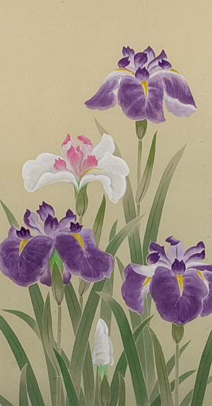 菖蒲　下條詩仙（直筆）