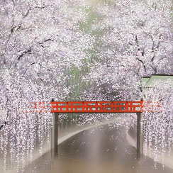 春の小京都　川島正行（直筆）　【掛け軸の販売専門店　掛軸倶楽部】