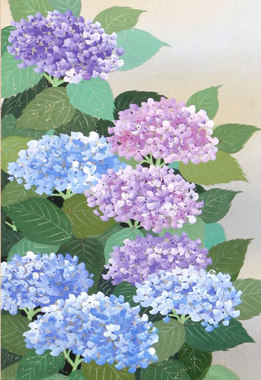 紫陽花 川島正行【直筆作品】