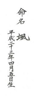 命名書き例　かえで