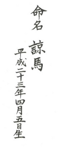 命名書き例　りょうま