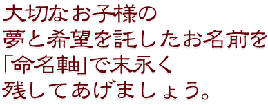 命名軸のごあんない